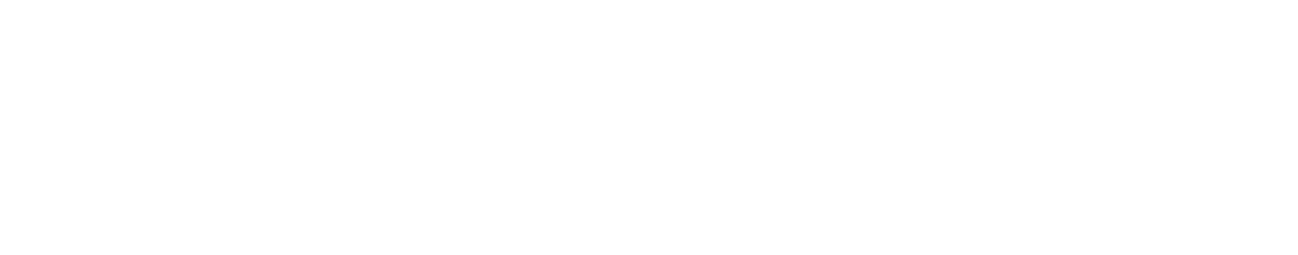Zoee logo